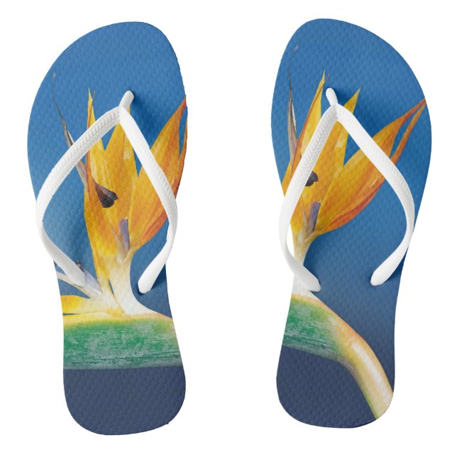 Chanclas para Adultos, Correa Delgada (Plantilla)