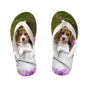 Chanclas Para Niños Animal de cachorro beagle tricolor - para niños