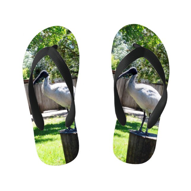 Chanclas Para Niños Bin Chicken (iBIS) Niños Flip Flops (Plantilla)