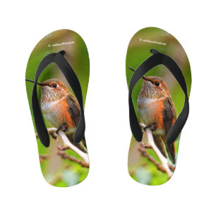 Chanclas Para Niños Colibrí Rufo Encantador en Rama de Ciruelo