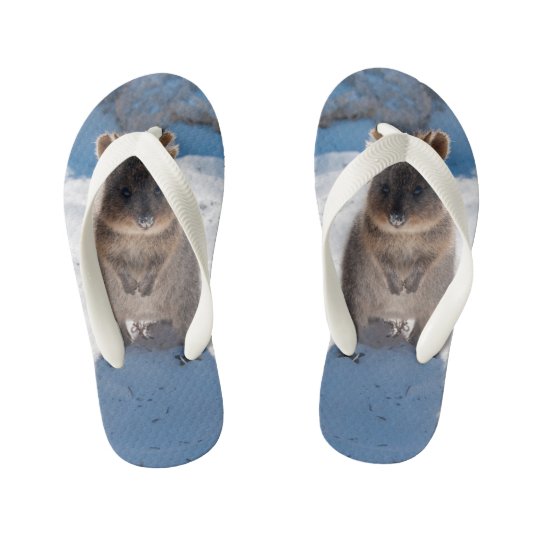 Chanclas Para Ninos Cuesta Y Feliz Quokka En La Playa De Australia Zazzle Es