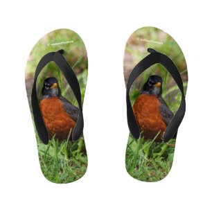 Chanclas Para Niños El curioso Robin Songbird en la hierba