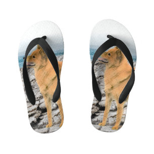 Chanclas Para Niños Espitz finlandés en la pintura de la costa - Arte 