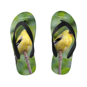 Chanclas Para Niños Goldfinch estadounidense masculino en el Bambú