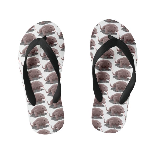 Chanclas Para Niños Ilustracion de dragón de Komodo (Plantilla)