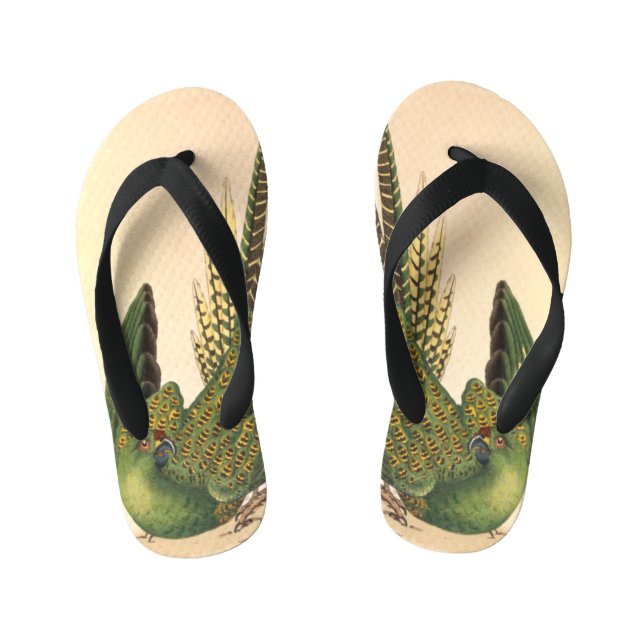 Chanclas Para Niños James Sowerby Ground Parrot, Psittacus terrestres (Plantilla)