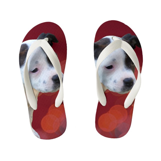 Chanclas Para Niños Staffordshire Bull Terrier Puppy, (Plantilla)