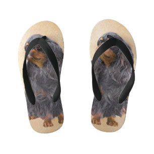 Chanclas Para Niños Toy English Spaniel Pintura Original Arte Animal