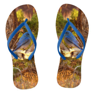 Chanclas Parque nacional de Arches