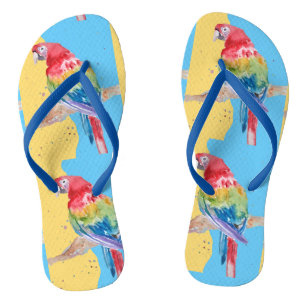 Chanclas Parroquia Tropical Macaw Aves Azules