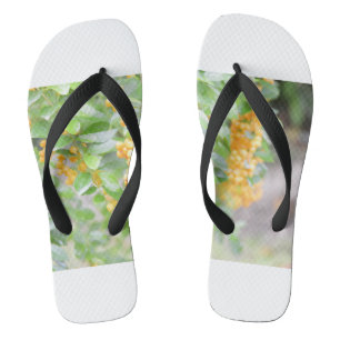 Chanclas Paso al estilo