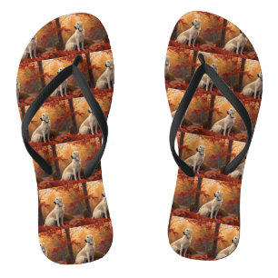 Chanclas Pastor de Anatolia en Otoño Inspira la Caída de H