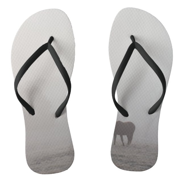 Chanclas Pastoreo Brumoso (Plantilla)