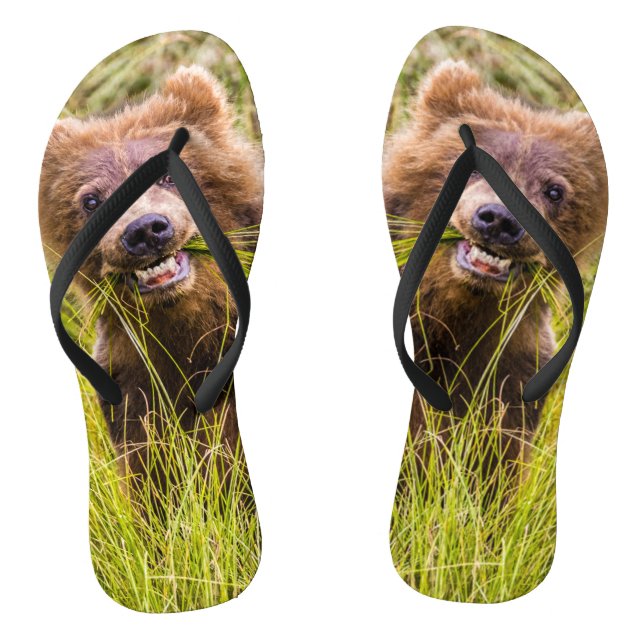 Chanclas Pastoreo parduzco, Alaska (Plantilla)