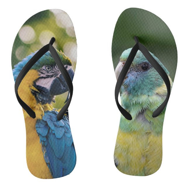 Chanclas Patrón de loro (Plantilla)