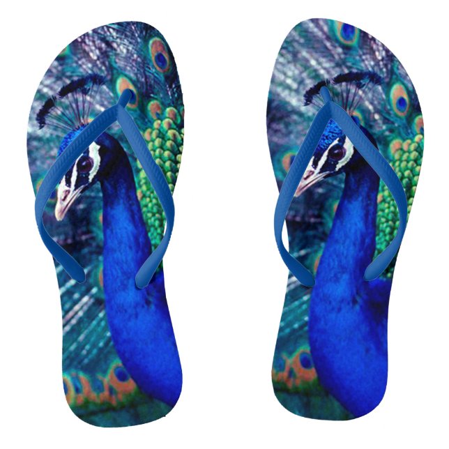 Chanclas Peacock azul (Plantilla)