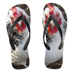 Chanclas pecas de pollo,