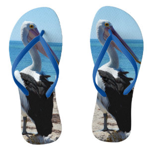Chanclas Pelícano Posado En Una Roca De Playa,