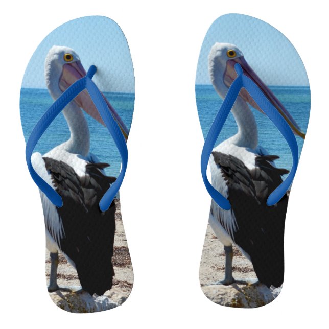 Chanclas Pelícano Posado En Una Roca De Playa, (Plantilla)