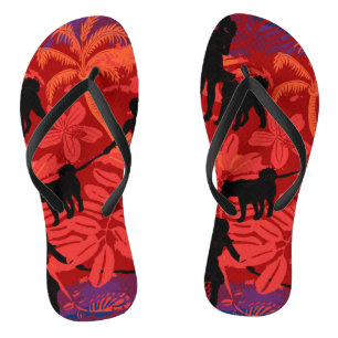 Chanclas Perdidos Entre dientes