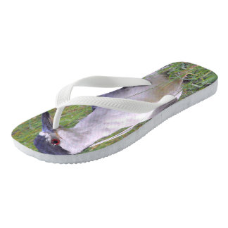 Chanclas Perón nocturno en la hierba verde