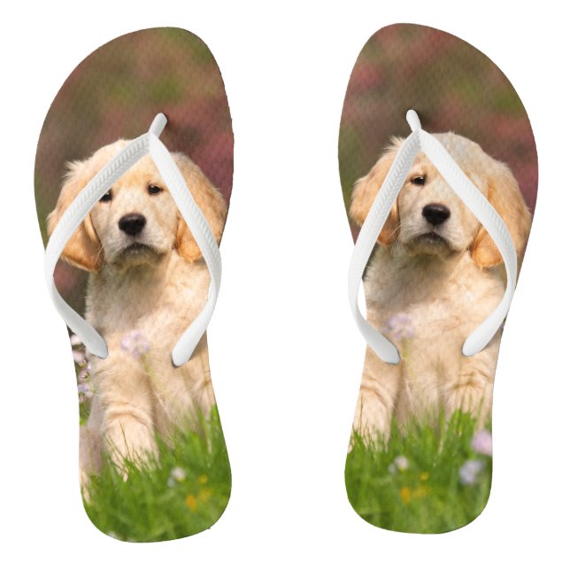 Chanclas Perrito del golden retriever un Goldie lindo (Plantilla)