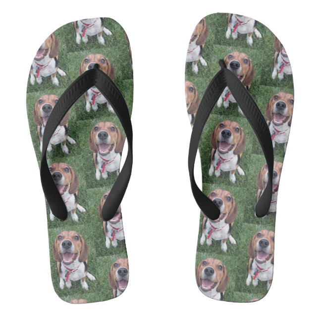 Chanclas Perrito feliz sonriente del beagle de la cara (Plantilla)