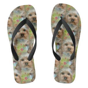 Chanclas Perro 117 Yorkie