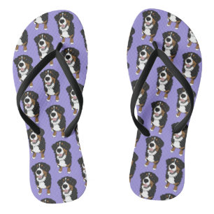 Chanclas Perro de montaña de Bernese 