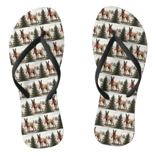 Chanclas Perro malinés belga en Navidades de nieve
