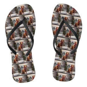 Chanclas Perro Nova Scotia Duck Toller en Navidad con nieve