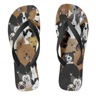 Chanclas Perros, un gato y un chancho