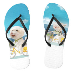 Chanclas Perros y gatos en bicicleta junto al mar