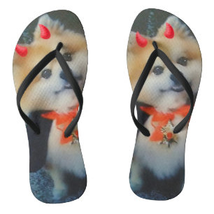 Chanclas Personalizado lindo Pomeranian Dog Photo Flip Flop