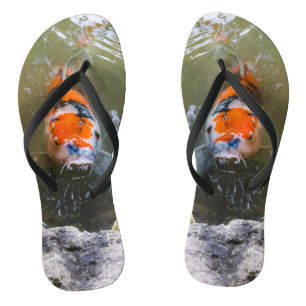 Chanclas Pescado de Koi en un estanque