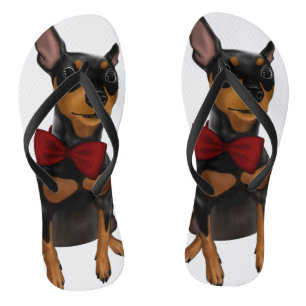 Chanclas Pinscher miniatura (Pin del minuto) con