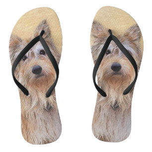 Chanclas Pintura de Berger Picard - Arte de Perro Original.