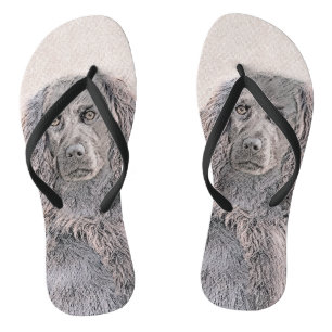 Chanclas Pintura de Boykin Spaniel - Arte de Perro Original