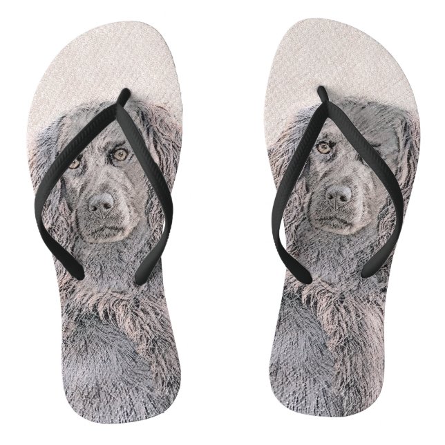 Chanclas Pintura de Boykin Spaniel - Arte de Perro Original (Plantilla)