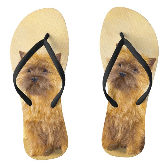 Chanclas Pintura de Cairn Terrier - Arte Perro Original. (Plantilla)