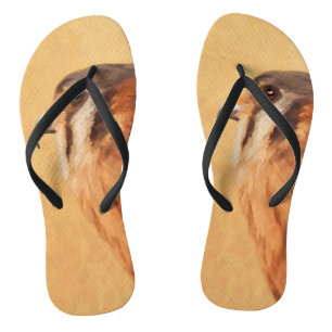 Chanclas Pintura de cernícalo estadounidense - Arte de pája