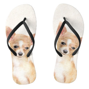 Chanclas Pintura de Chihuahua - Arte Perro Original.