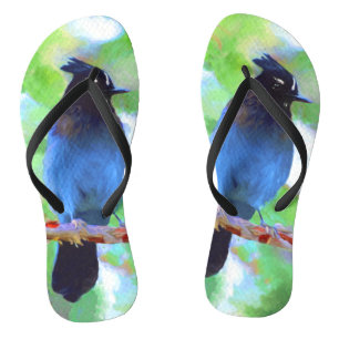 Chanclas Pintura de Jay de Steller - Arte de pájaro origina