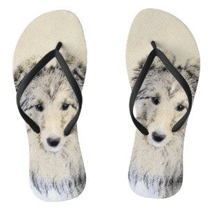 Chanclas Pintura de perro pastelero de Shetland - Arte de p