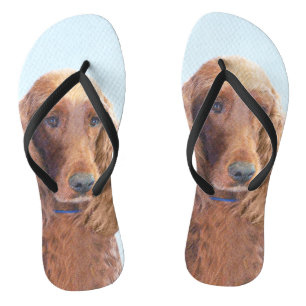 Chanclas Pintura de Setter Irlandés - Arte Original y Diver