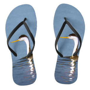 Chanclas Pintura gris de Clark - Arte de pájaro original