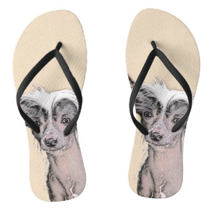 Chanclas Pintura sin pelo de cremallera china arte original