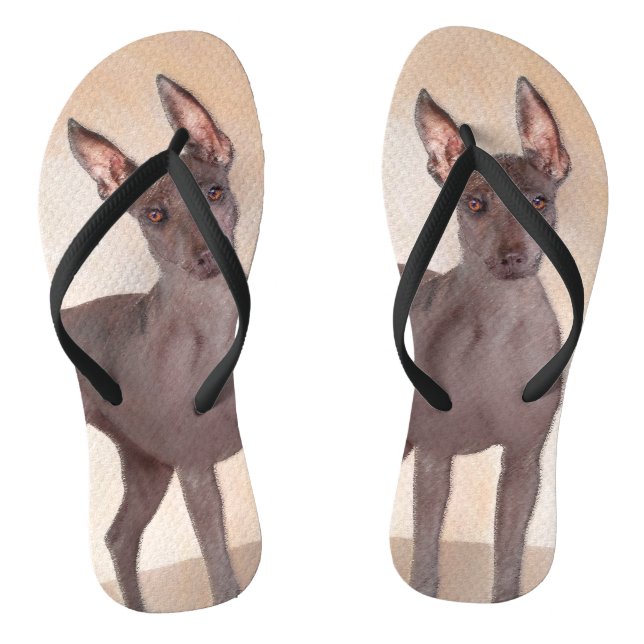 Chanclas Pintura Xoloitzcuintli - Arte Perro Original Cuto (Plantilla)