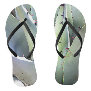 Chanclas Planta de Agave Suculenta Cactus Azules Desierto d