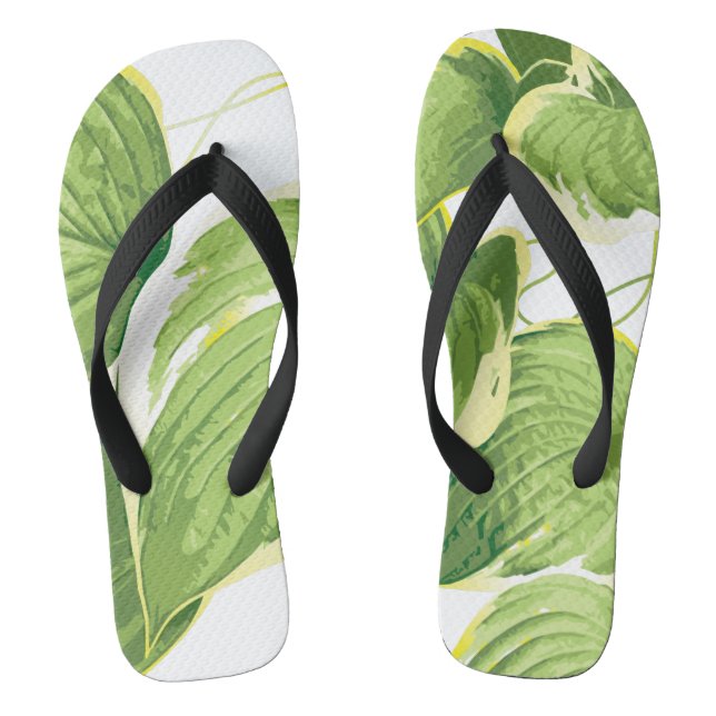 Chanclas Planta de Ficus (Plantilla)